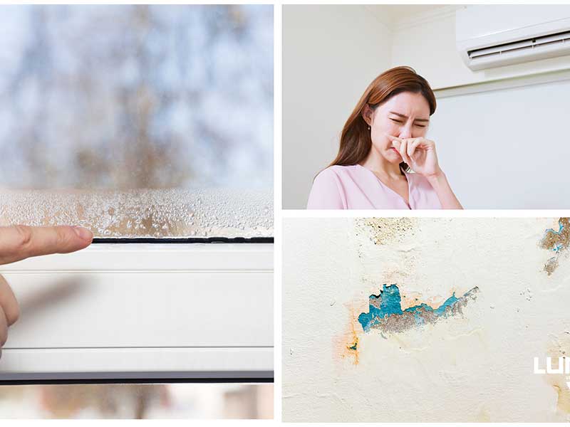 Celovita obnova doma. Znaki slabega zraka v prostoru: kondenz na oknu, ženska, ki kašlja pod klimatsko napravo, ter poškodovana in vlažna stena z znaki plesni.